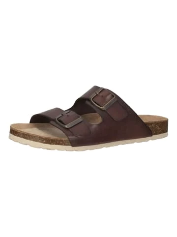 Beste Bewertungen von 🛒 Clogs & Pantoletten Cosmos Comfort Pantoletten In Dunkelbraun Günstig Kaufen ⭐ 1 Beste Bewertungen von 🛒 Clogs & Pantoletten Cosmos Comfort Pantoletten In Dunkelbraun Günstig Kaufen ⭐