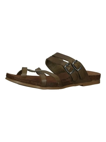 Brandneu 🧨 Clogs & Pantoletten Cosmos Comfort Pantoletten In Khaki Günstig Kaufen 👏 1 Brandneu 🧨 Clogs & Pantoletten Cosmos Comfort Pantoletten In Khaki Günstig Kaufen 👏