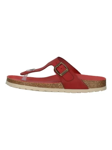 Bestes Angebot ⭐ Sandalen Cosmos Comfort Pantoletten In Rot Günstig Kaufen 👏 2 Bestes Angebot ⭐ Sandalen Cosmos Comfort Pantoletten In Rot Günstig Kaufen 👏 – Bild 2