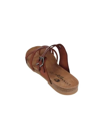 Neu 👍 Clogs & Pantoletten Cosmos Comfort Pantoletten In Übergrößen In Braun Günstig Kaufen ⭐ 2 Neu 👍 Clogs & Pantoletten Cosmos Comfort Pantoletten In Übergrößen In Braun Günstig Kaufen ⭐ – Bild 2