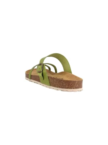 Coupon ✨ Clogs & Pantoletten Cosmos Comfort Pantoletten In Übergrößen In Grün Günstig Kaufen 🛒 2 Coupon ✨ Clogs & Pantoletten Cosmos Comfort Pantoletten In Übergrößen In Grün Günstig Kaufen 🛒 – Bild 2