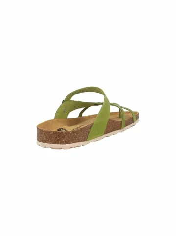 Coupon ✨ Clogs & Pantoletten Cosmos Comfort Pantoletten In Übergrößen In Grün Günstig Kaufen 🛒 4 Coupon ✨ Clogs & Pantoletten Cosmos Comfort Pantoletten In Übergrößen In Grün Günstig Kaufen 🛒 – Bild 4