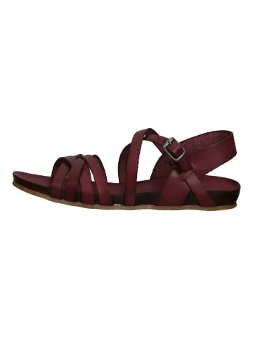 Schlussverkauf ✔️ Cosmos Comfort 🩴 Sandalen In Bordeaux Günstig Kaufen 🥰 2 Schlussverkauf ✔️ Cosmos Comfort 🩴 Sandalen In Bordeaux Günstig Kaufen 🥰 – Bild 2