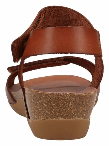 Auslauf ❤️ Cosmos Comfort 🩴 Sandalen In Braun Günstig Kaufen 😍 5 Auslauf ❤️ Cosmos Comfort 🩴 Sandalen In Braun Günstig Kaufen 😍 – Bild 5