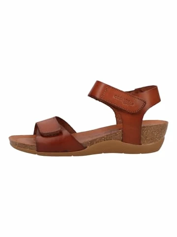 Auslauf ❤️ Cosmos Comfort 🩴 Sandalen In Braun Günstig Kaufen 😍 2 Auslauf ❤️ Cosmos Comfort 🩴 Sandalen In Braun Günstig Kaufen 😍 – Bild 2
