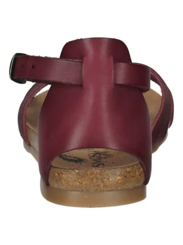 Blitzangebot 🥰 Cosmos Comfort 🩴 Sandalen In Burgundy Günstig Kaufen 😍 5 Blitzangebot 🥰 Cosmos Comfort 🩴 Sandalen In Burgundy Günstig Kaufen 😍 – Bild 5