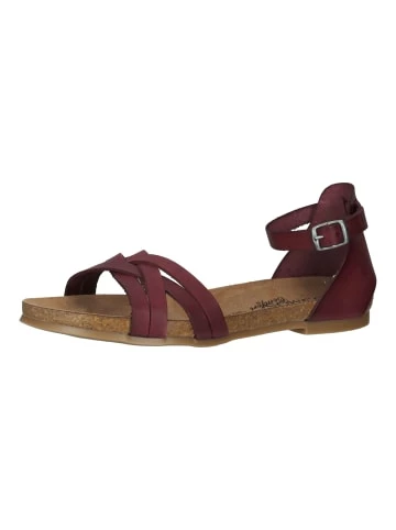 Blitzangebot 🥰 Cosmos Comfort 🩴 Sandalen In Burgundy Günstig Kaufen 😍 1 Blitzangebot 🥰 Cosmos Comfort 🩴 Sandalen In Burgundy Günstig Kaufen 😍