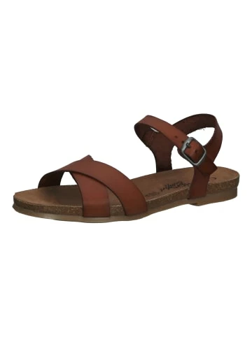 Coupon ⌛ Cosmos Comfort 🩴 Sandalen In Kastanie Günstig Kaufen 😉 1 Coupon ⌛ Cosmos Comfort 🩴 Sandalen In Kastanie Günstig Kaufen 😉