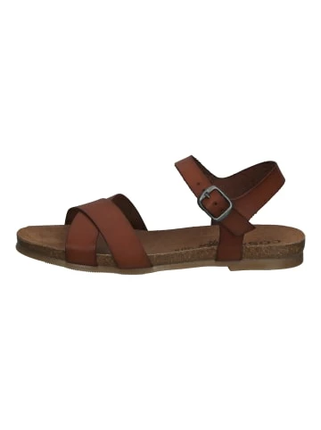 Coupon ⌛ Cosmos Comfort 🩴 Sandalen In Kastanie Günstig Kaufen 😉 2 Coupon ⌛ Cosmos Comfort 🩴 Sandalen In Kastanie Günstig Kaufen 😉 – Bild 2