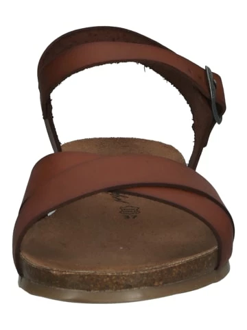 Coupon ⌛ Cosmos Comfort 🩴 Sandalen In Kastanie Günstig Kaufen 😉 4 Coupon ⌛ Cosmos Comfort 🩴 Sandalen In Kastanie Günstig Kaufen 😉 – Bild 4