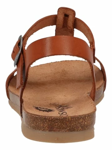 Bestes Angebot ✨ Cosmos Comfort 🩴 Sandalen In Kastanie Günstig Kaufen ⭐ 5 Bestes Angebot ✨ Cosmos Comfort 🩴 Sandalen In Kastanie Günstig Kaufen ⭐ – Bild 5