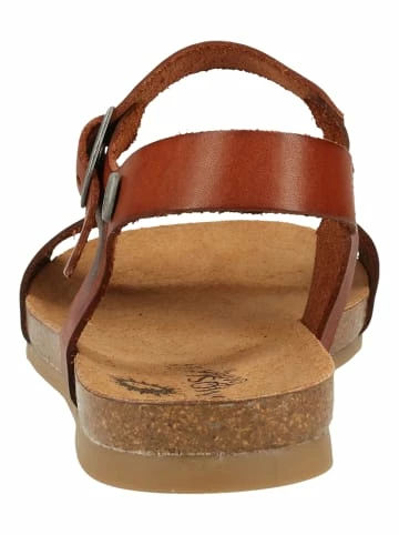 Budget 🎁 Cosmos Comfort 🩴 Sandalen In Kastanie Günstig Kaufen ⭐ 5 Budget 🎁 Cosmos Comfort 🩴 Sandalen In Kastanie Günstig Kaufen ⭐ – Bild 5