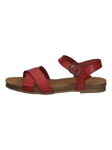 Rabatt 🌟 Cosmos Comfort 🩴 Sandalen In Rot Günstig Kaufen 🤩 2 Rabatt 🌟 Cosmos Comfort 🩴 Sandalen In Rot Günstig Kaufen 🤩 – Bild 2