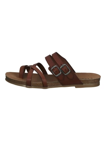 Top 10 🛒 Sandalen Cosmos Comfort Zehensteg In Kastanie Günstig Kaufen ⌛ 2 Top 10 🛒 Sandalen Cosmos Comfort Zehensteg In Kastanie Günstig Kaufen ⌛ – Bild 2