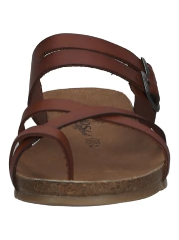 Top 10 🛒 Sandalen Cosmos Comfort Zehensteg In Kastanie Günstig Kaufen ⌛ 4 Top 10 🛒 Sandalen Cosmos Comfort Zehensteg In Kastanie Günstig Kaufen ⌛ – Bild 4