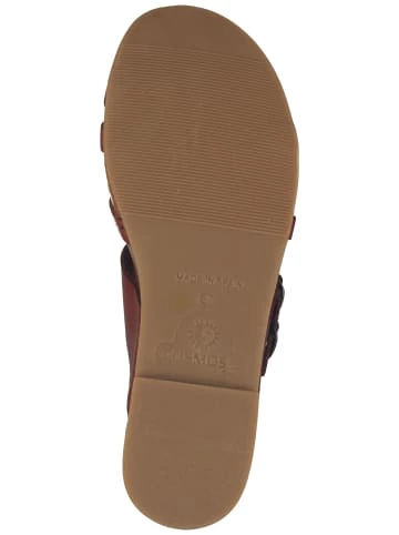 Top 10 🛒 Sandalen Cosmos Comfort Zehensteg In Kastanie Günstig Kaufen ⌛ 7 Top 10 🛒 Sandalen Cosmos Comfort Zehensteg In Kastanie Günstig Kaufen ⌛ – Bild 7